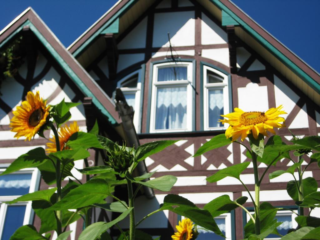 Hotel Villa Rossek 바드리벤쉬타인 외부 사진